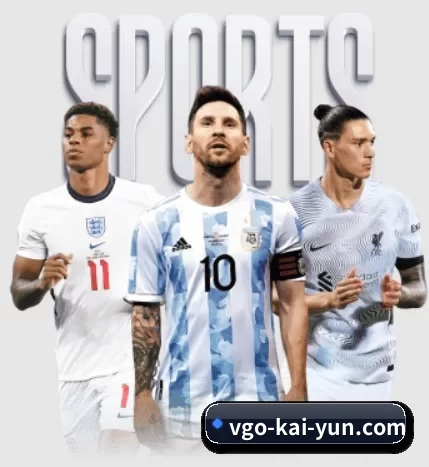 vgo-kai-yun.com的方向
